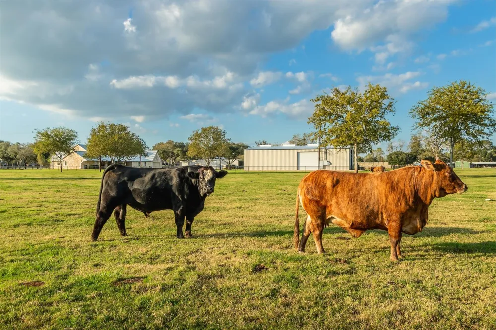 3150 Holmes Road Road Richmond, TX 77406