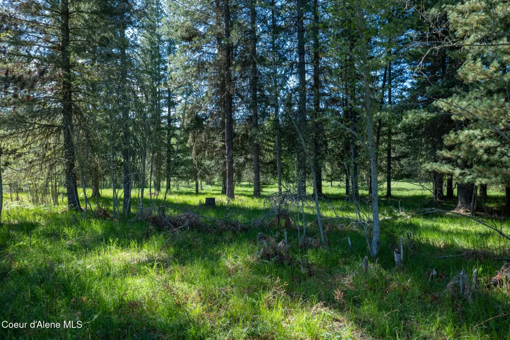 1201 Robinson Drive Priest River, ID 83856