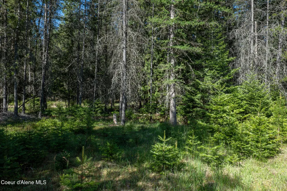 1201 Robinson Drive Priest River, ID 83856