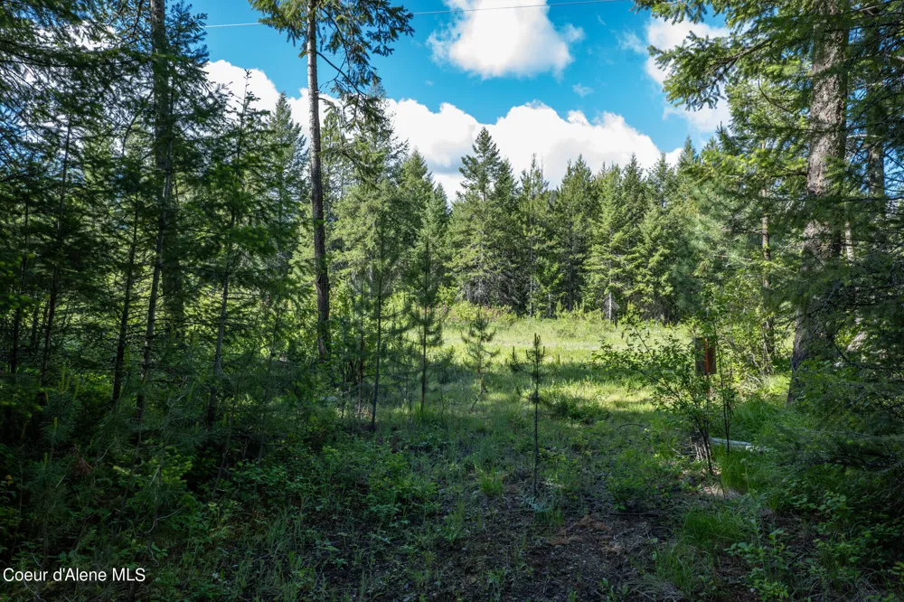 NKA Lot 3 Flat Iron Spirit Lake, ID 83869