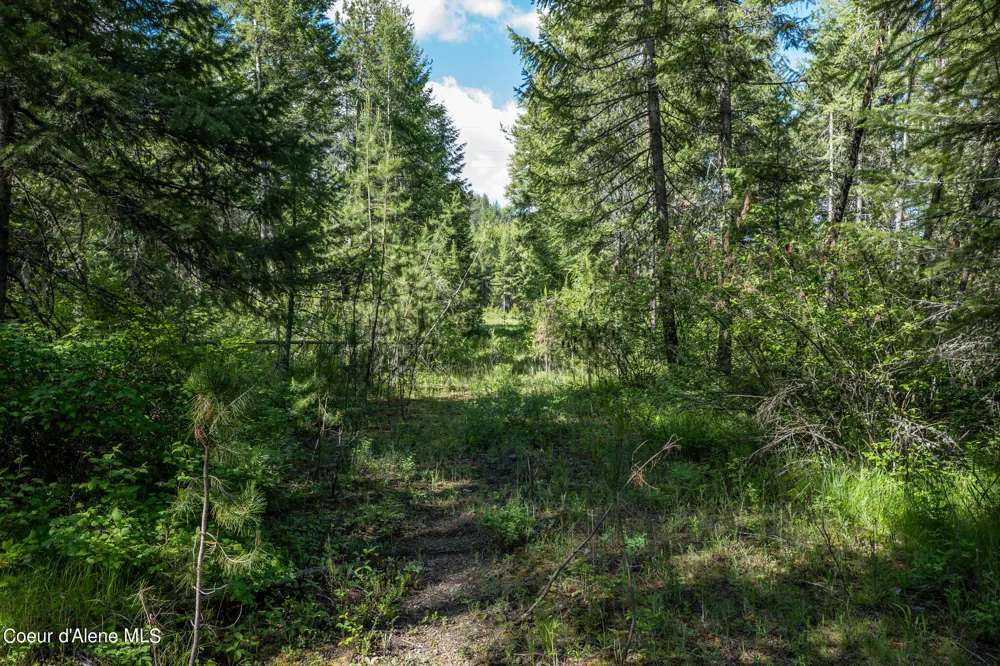 NKA Lot 3 Flat Iron Spirit Lake, ID 83869