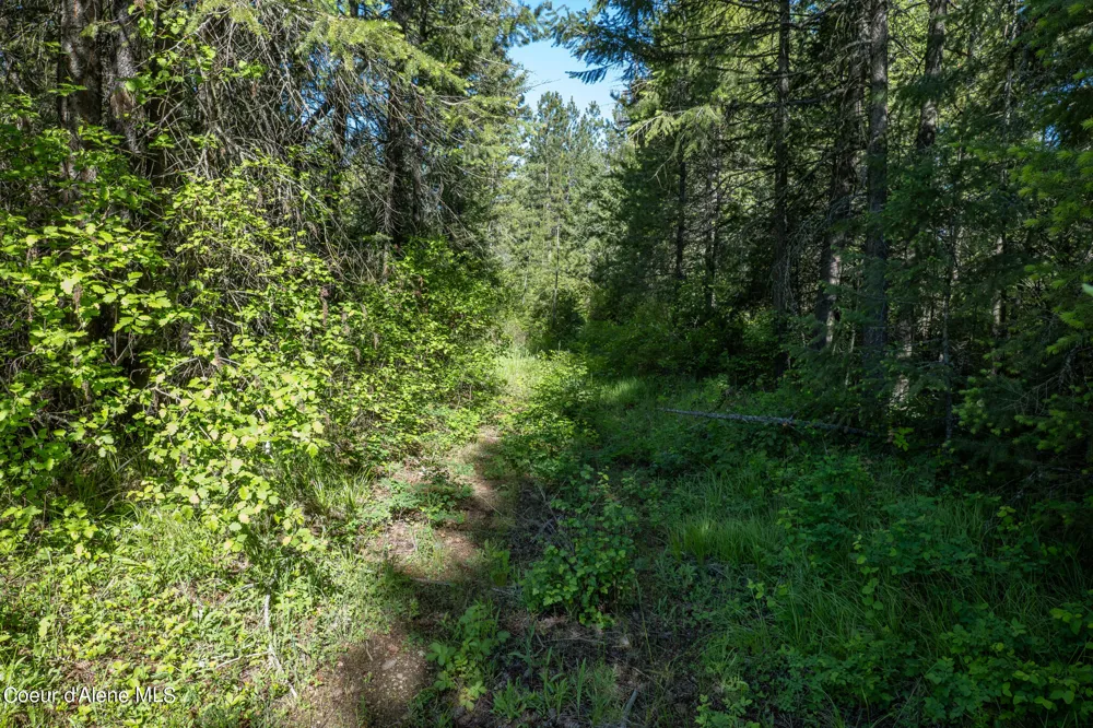 NKA Lot 3 Flat Iron Spirit Lake, ID 83869