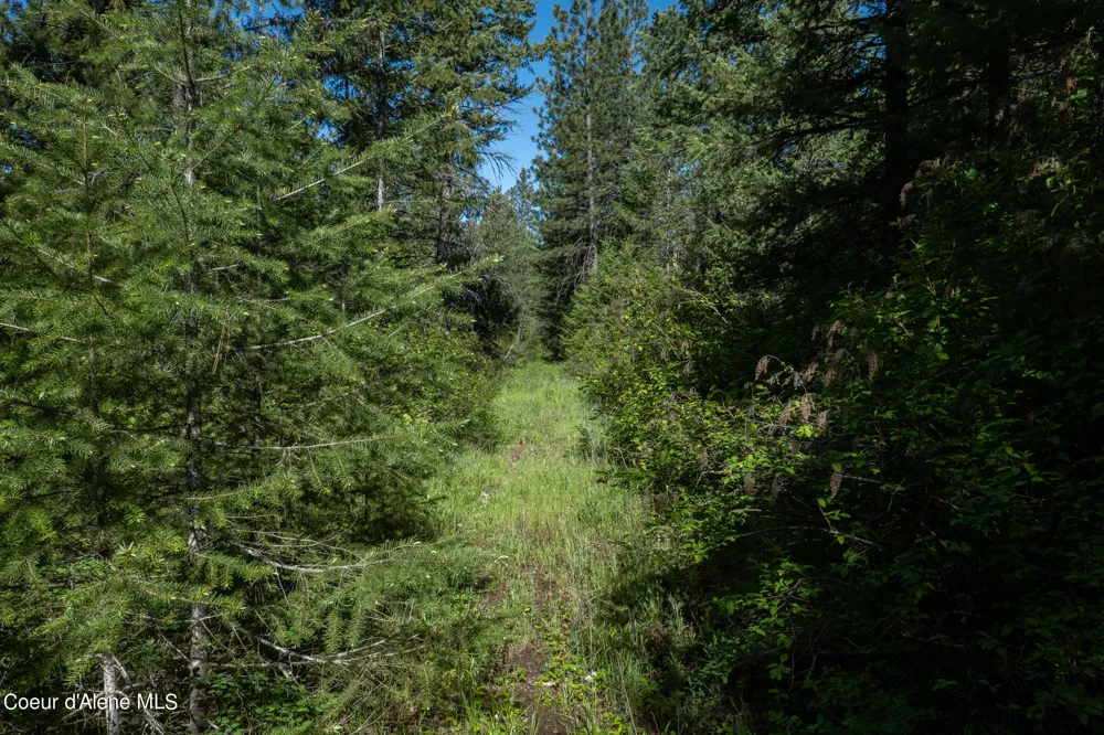 NKA Lot 3 Flat Iron Spirit Lake, ID 83869