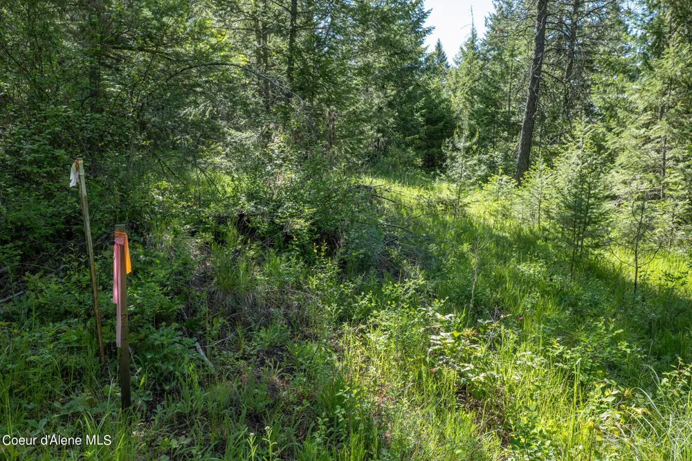 NKA Lot 3 Flat Iron Spirit Lake, ID 83869