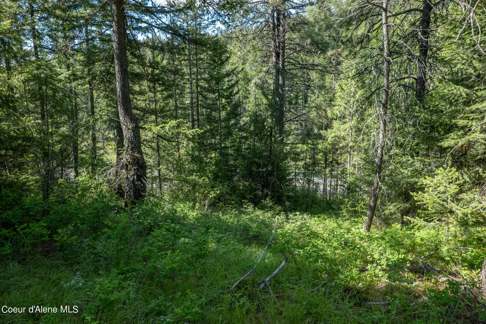 NKA Lot 3 Flat Iron Spirit Lake, ID 83869