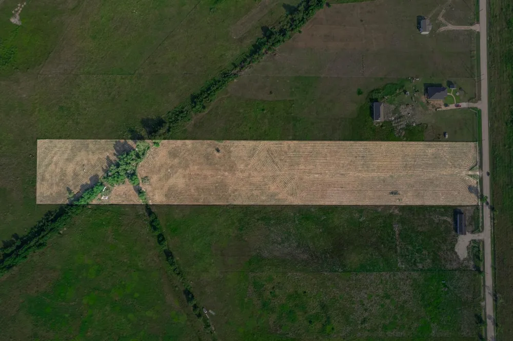 Wolfgang Road Guy, TX 77444