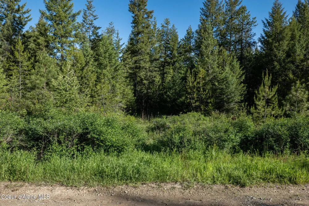 NKA Lot 4 Flat Iron Spirit Lake, ID 83869