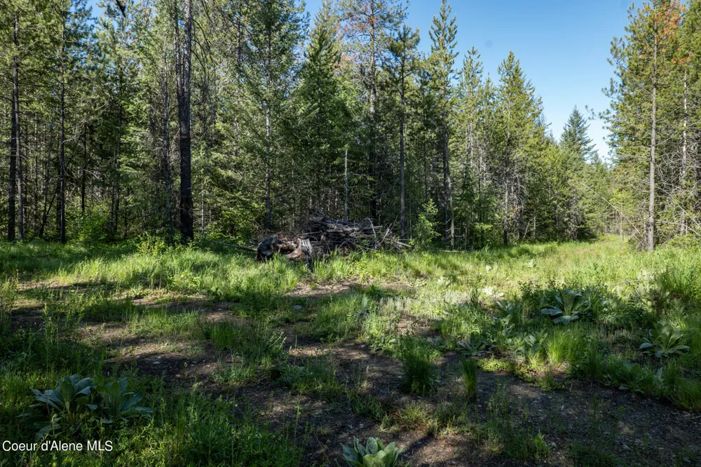 NKA Lot 4 Flat Iron Spirit Lake, ID 83869