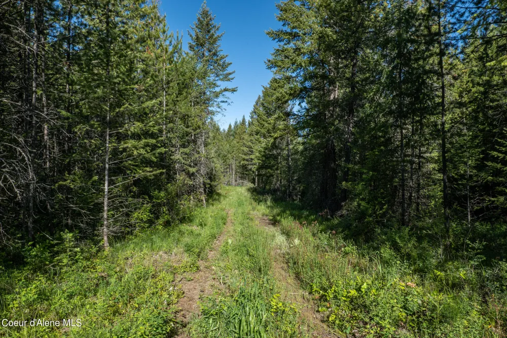 NKA Lot 4 Flat Iron Spirit Lake, ID 83869