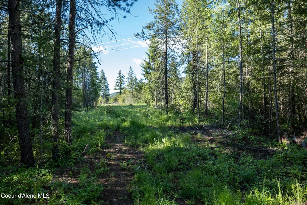 NKA Lot 4 Flat Iron Spirit Lake, ID 83869