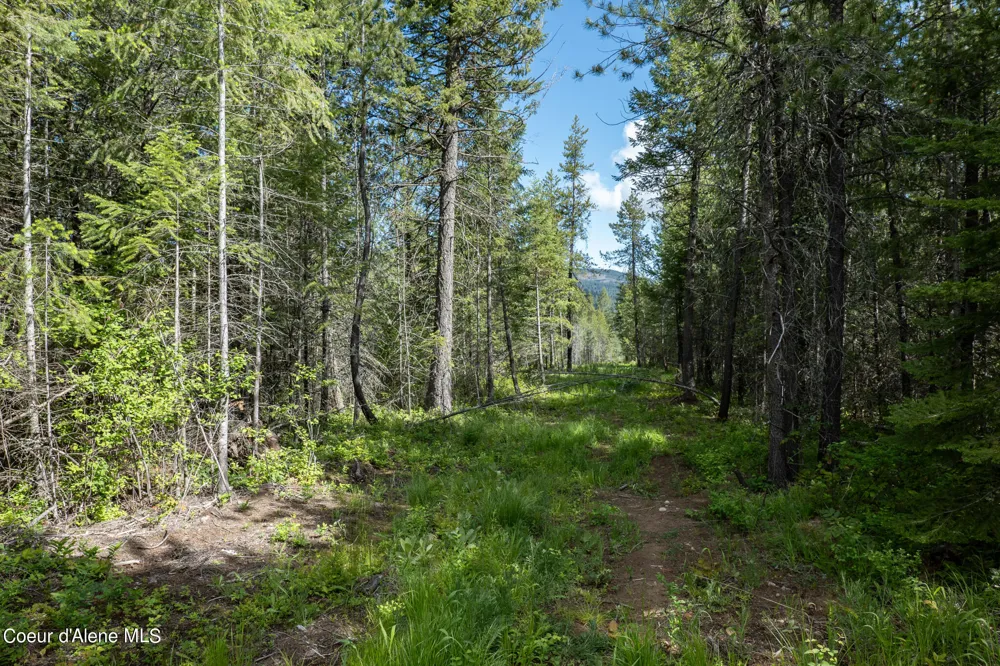 NKA Lot 4 Flat Iron Spirit Lake, ID 83869