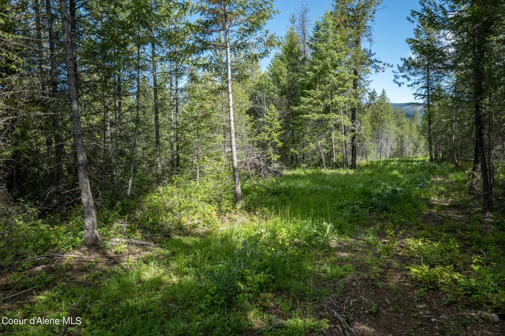 NKA Lot 4 Flat Iron Spirit Lake, ID 83869