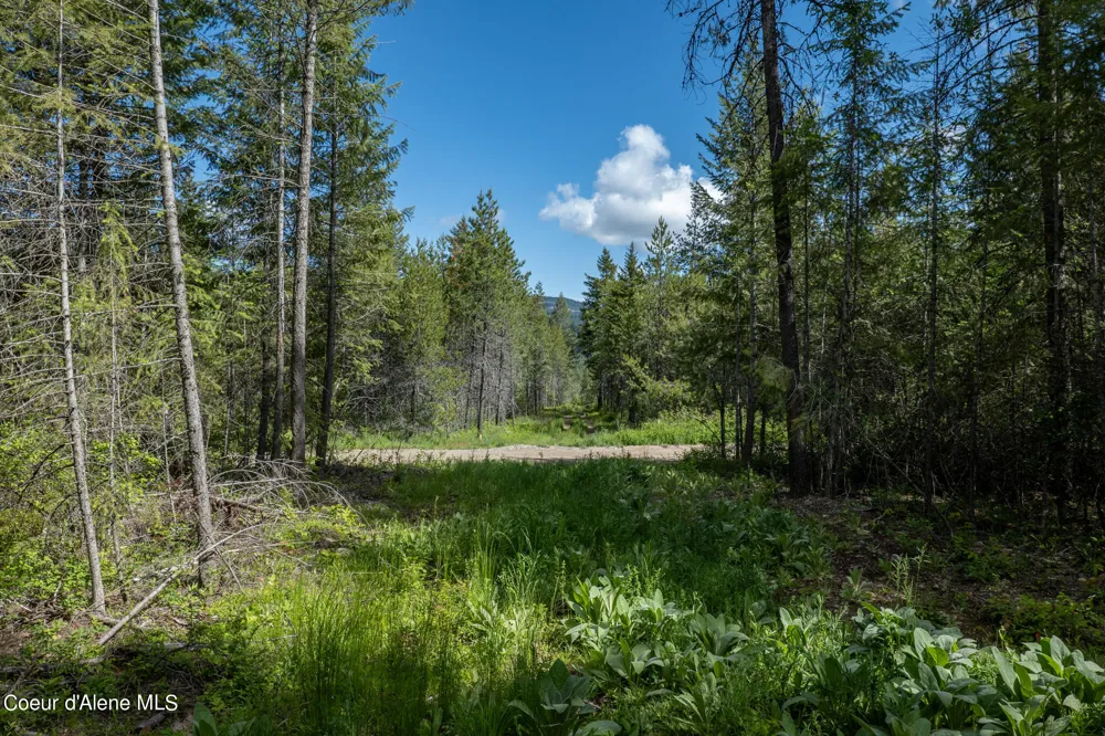 NKA Lot 4 Flat Iron Spirit Lake, ID 83869