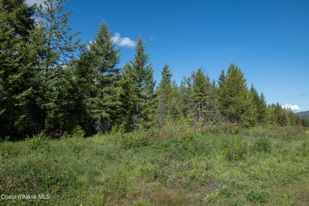 NKA Lot 4 Flat Iron Spirit Lake, ID 83869