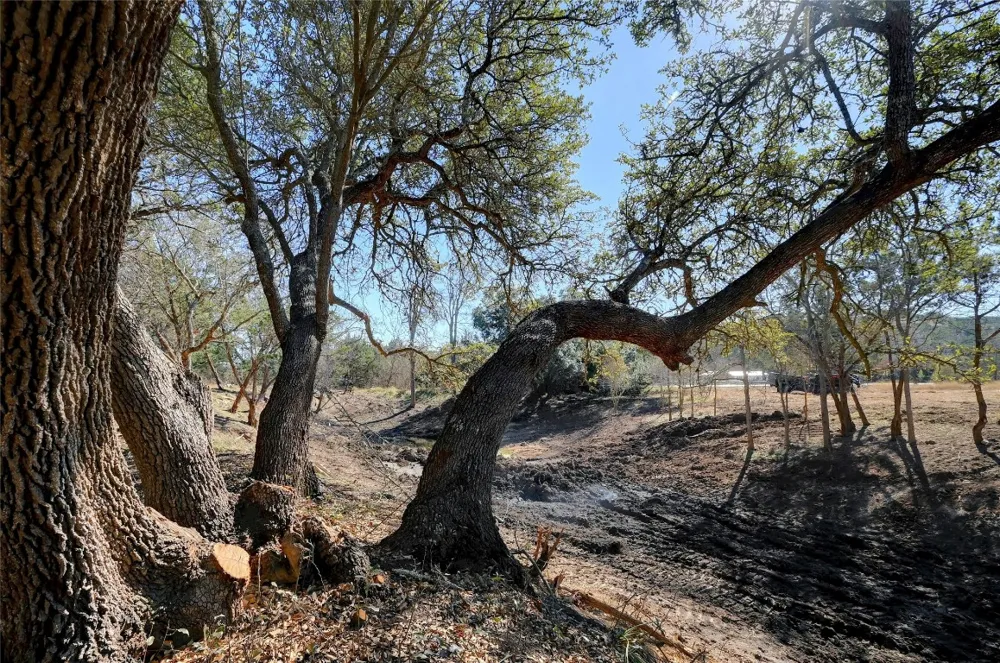 Ranch Rd 165 Road Blanco, TX 78606