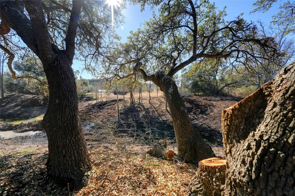 Ranch Rd 165 Road Blanco, TX 78606
