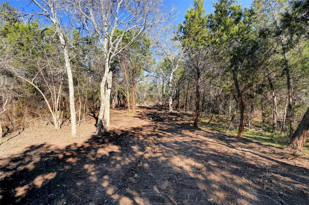 Ranch Rd 165 Road Blanco, TX 78606