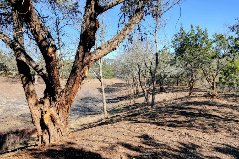 Ranch Rd 165 Road Blanco, TX 78606