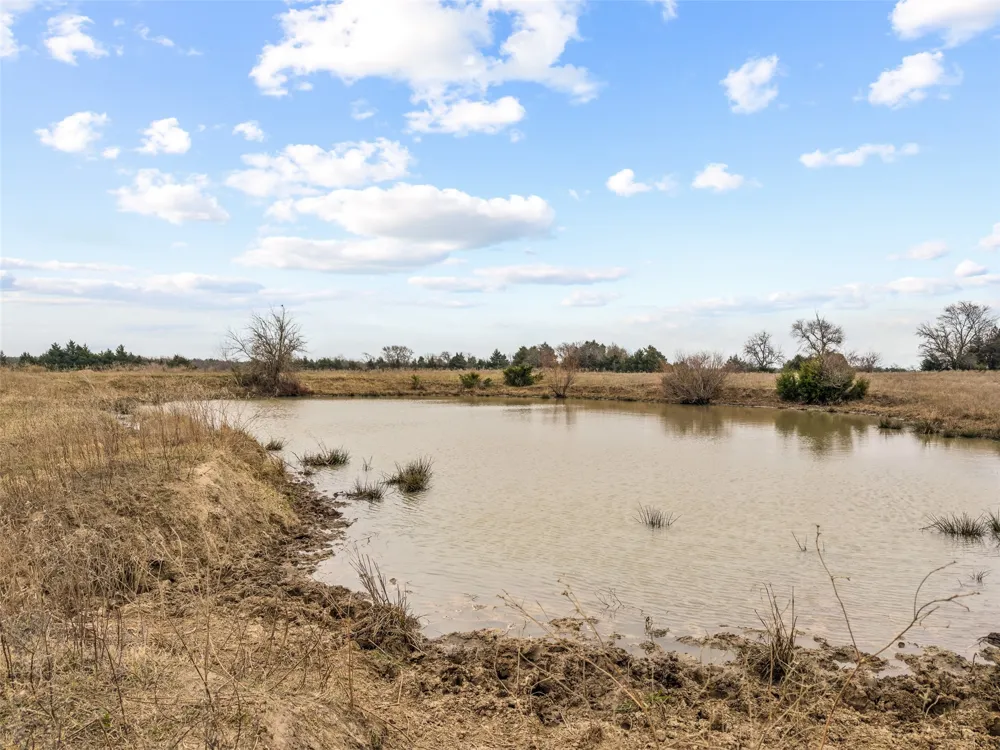 County Road 1255 Savoy, TX 75479