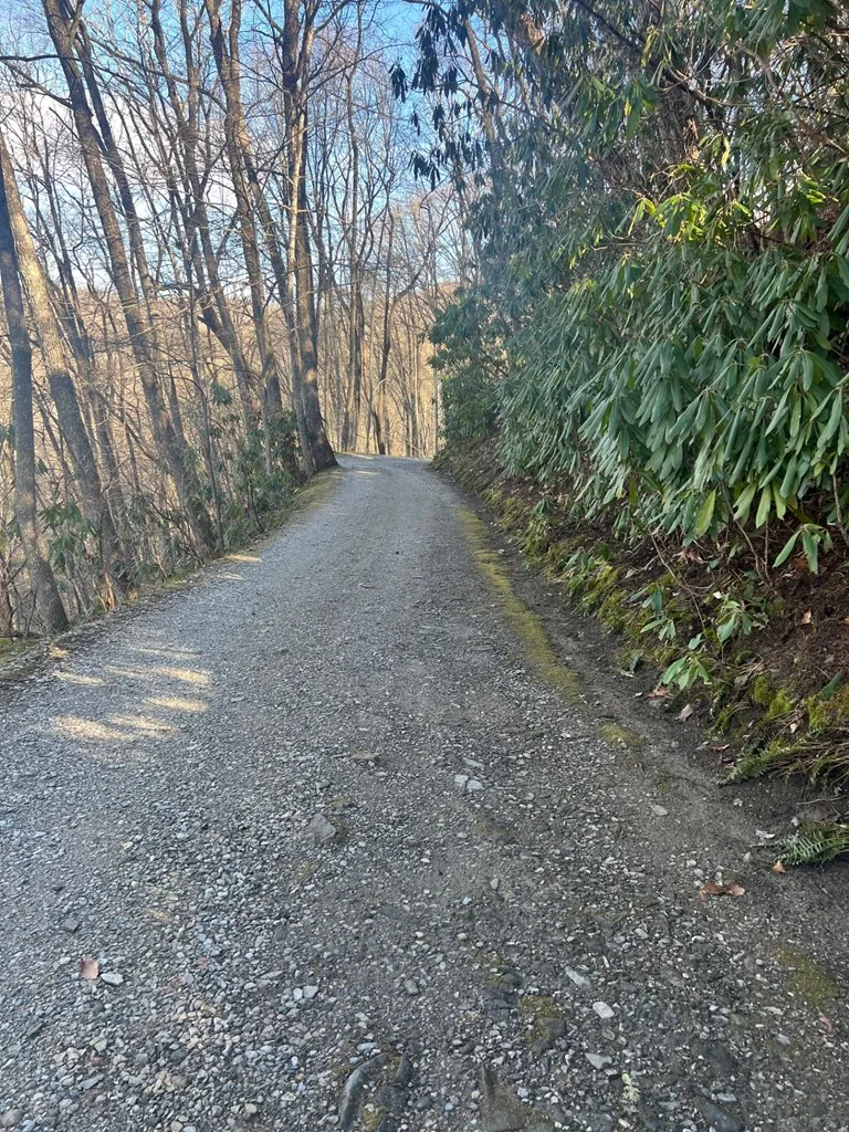 Mt. Tabor Topton, NC 28781