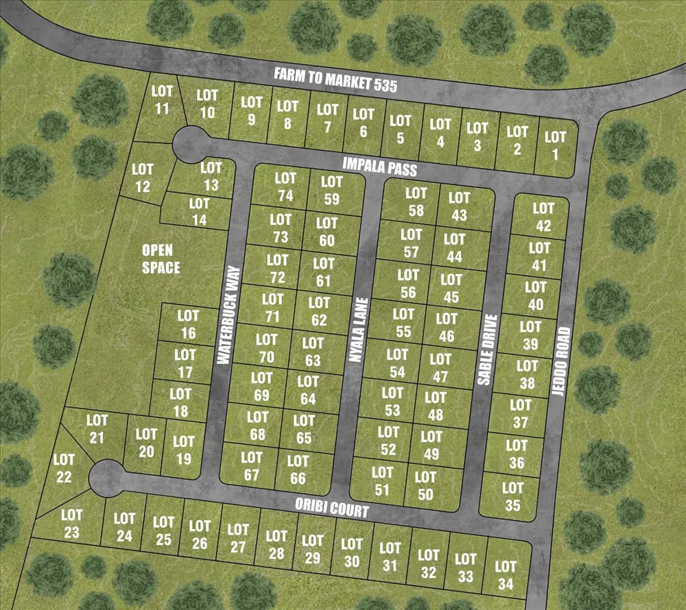 175 Impala Pass Rosanky, TX 78953