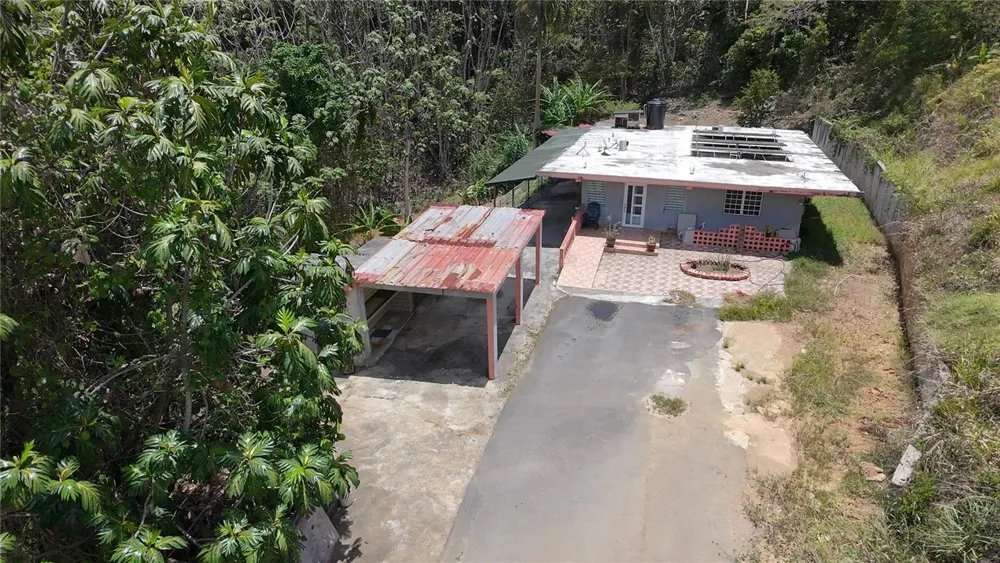 Carr 925 KM 4.9 BO. JUNQUITO Humacao, PR 00791