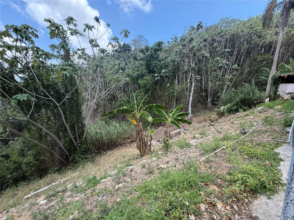 Carr 925 KM 4.9 BO. JUNQUITO Humacao, PR 00791