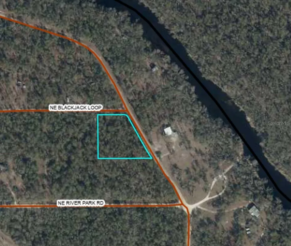 NE TIMBER RIVER LOOP Lee, FL 32059