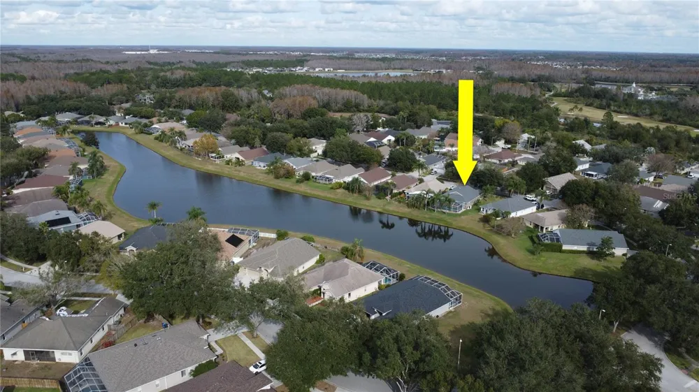 19519 MORDEN BLUSH DRIVE Lutz, FL 33558