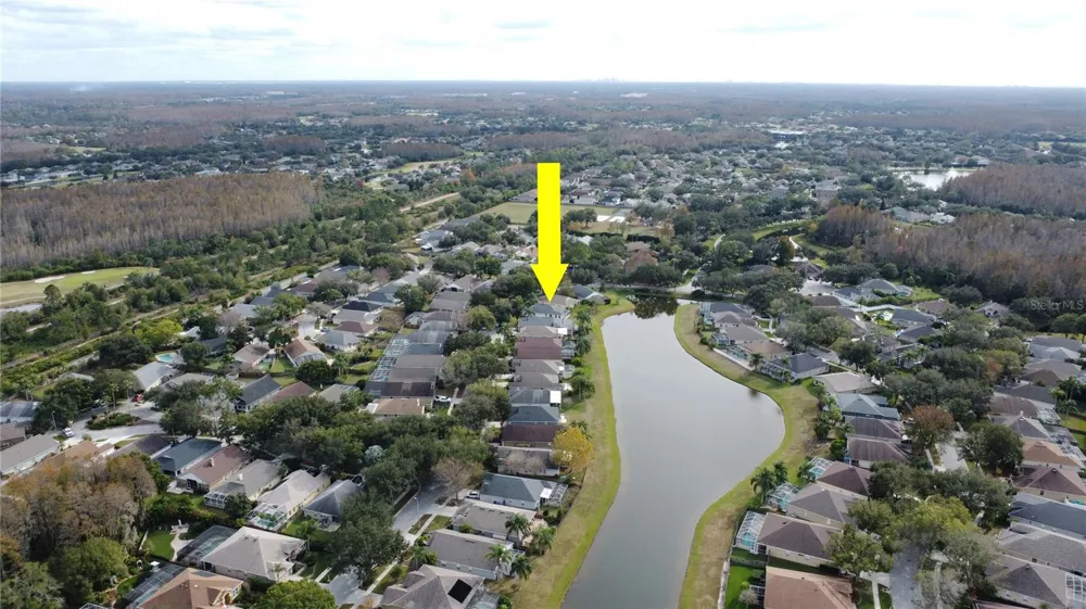 19519 MORDEN BLUSH DRIVE Lutz, FL 33558