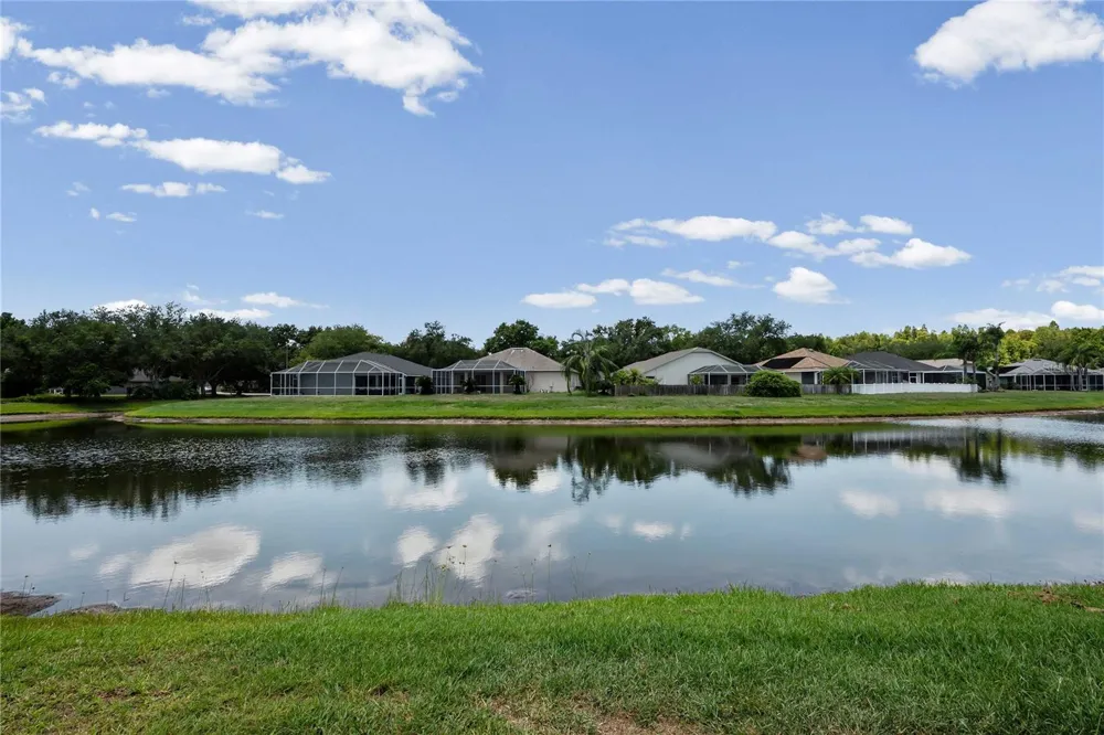 19519 MORDEN BLUSH DRIVE Lutz, FL 33558