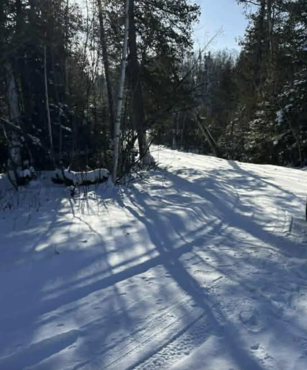 9426 Cramer Road Finland, MN 55603