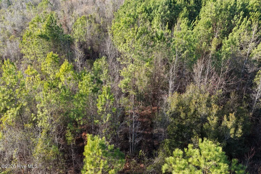 0 Carolina 410 Bladenboro, NC 28320