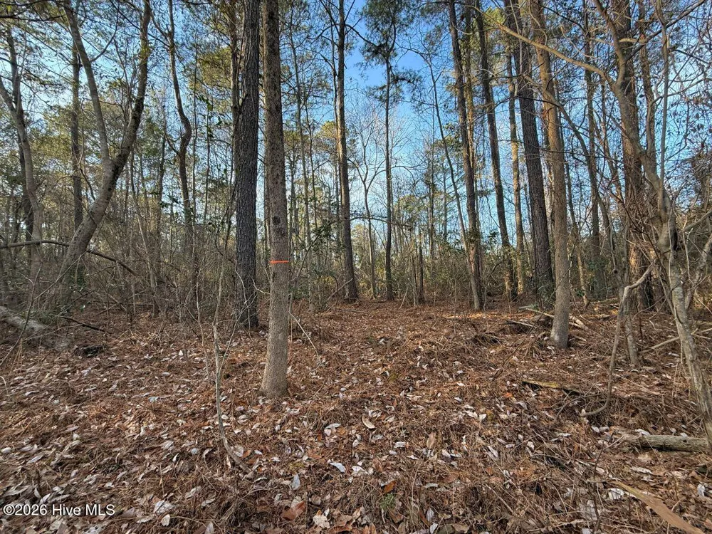 0 Carolina 410 Bladenboro, NC 28320