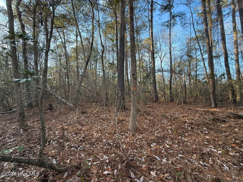 0 Carolina 410 Bladenboro, NC 28320