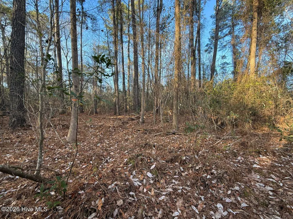 0 Carolina 410 Bladenboro, NC 28320