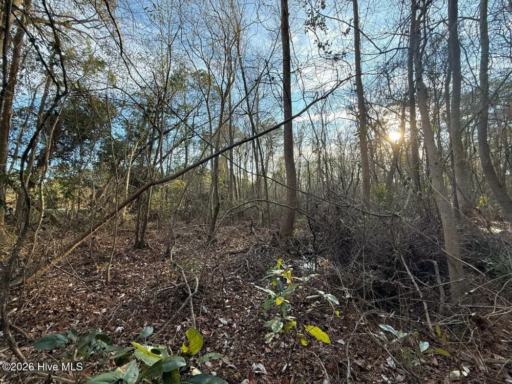 0 Carolina 410 Bladenboro, NC 28320