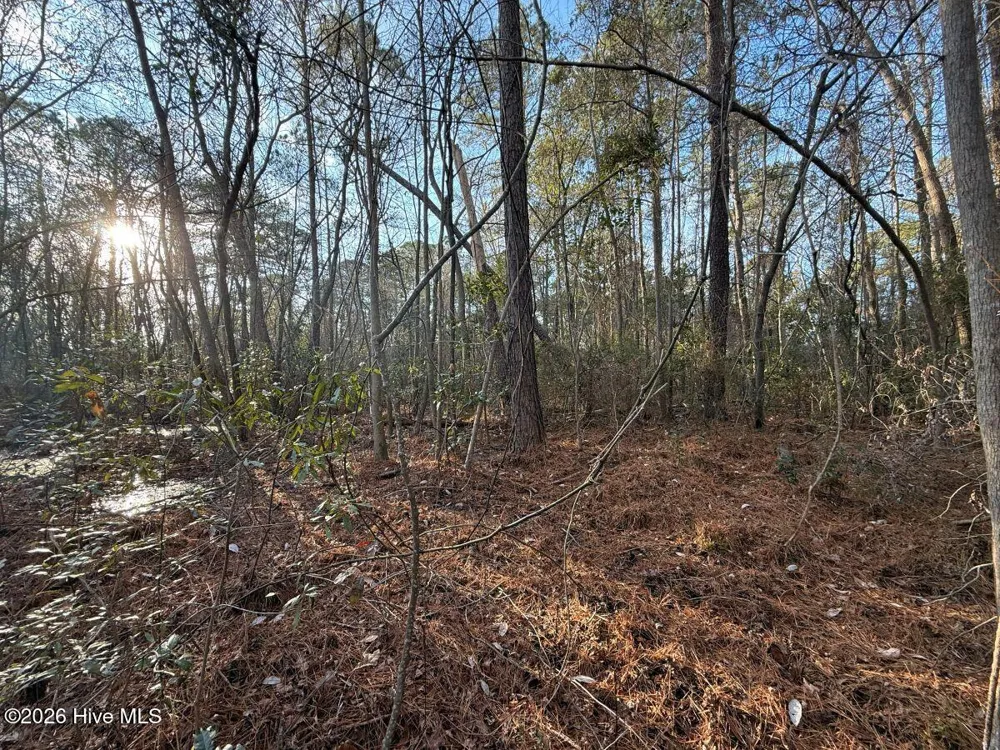 0 Carolina 410 Bladenboro, NC 28320