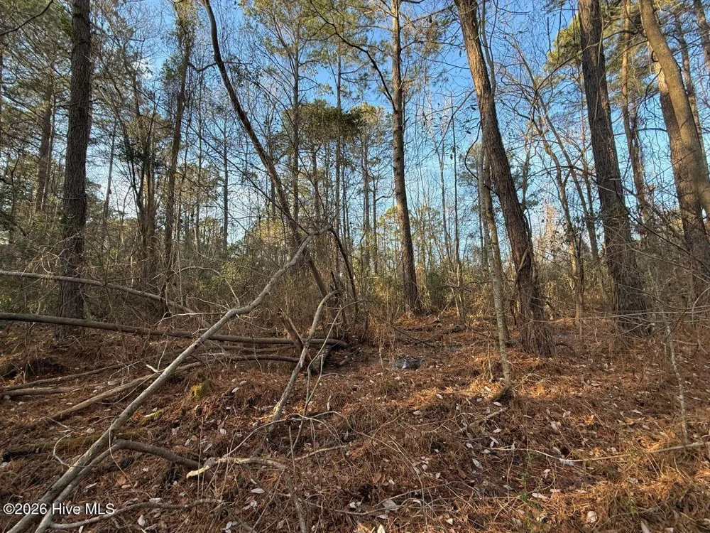 0 Carolina 410 Bladenboro, NC 28320