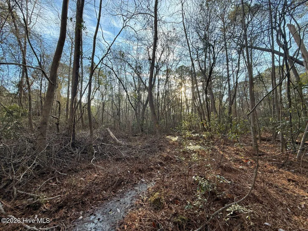 0 Carolina 410 Bladenboro, NC 28320