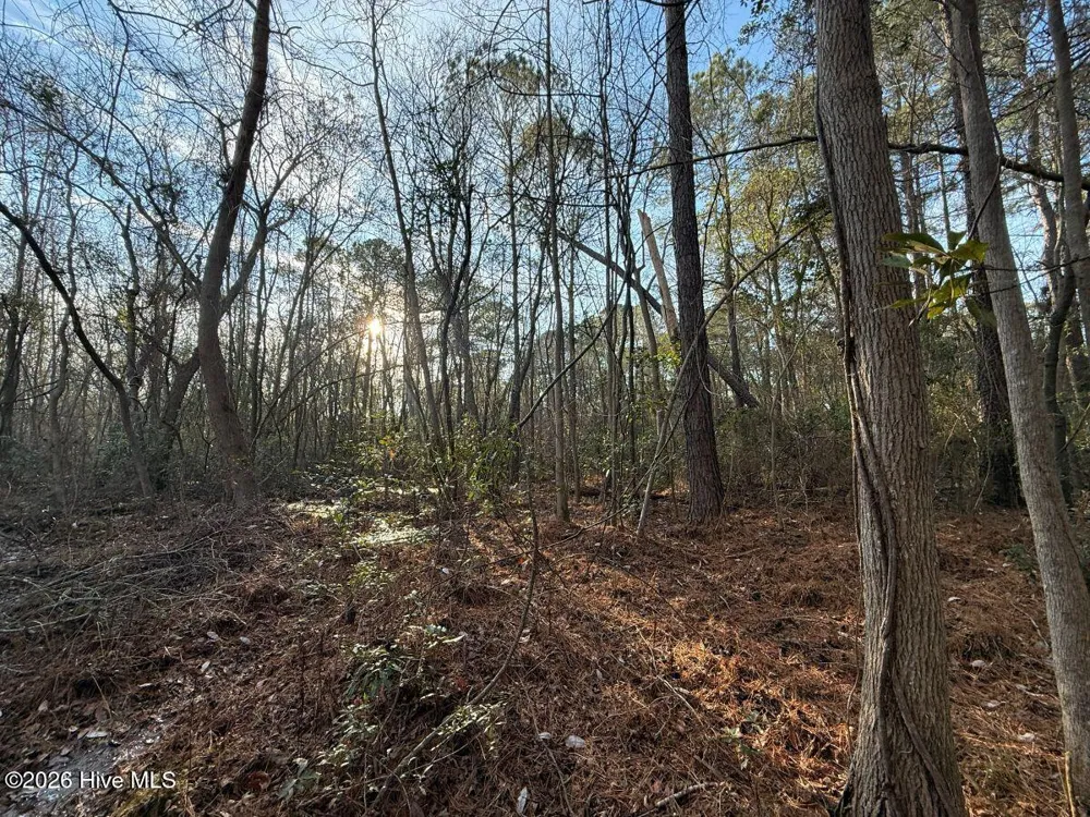 0 Carolina 410 Bladenboro, NC 28320
