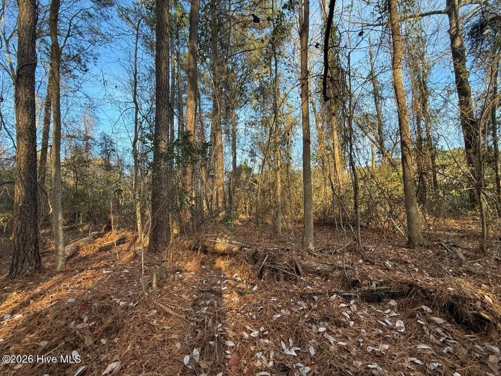 0 Carolina 410 Bladenboro, NC 28320
