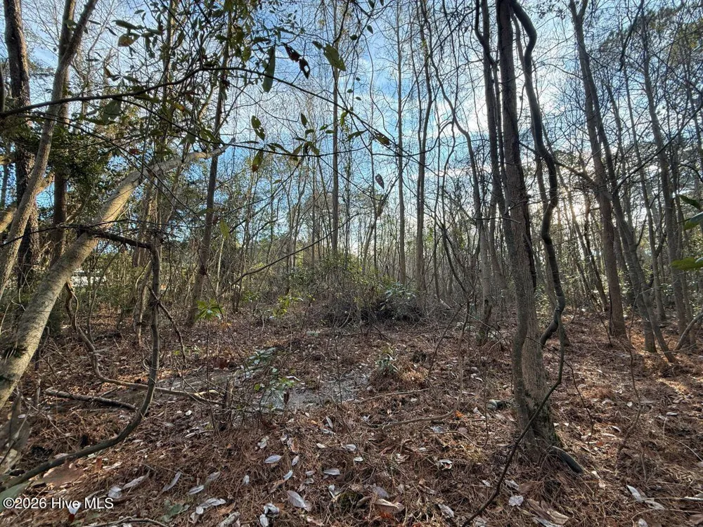 0 Carolina 410 Bladenboro, NC 28320