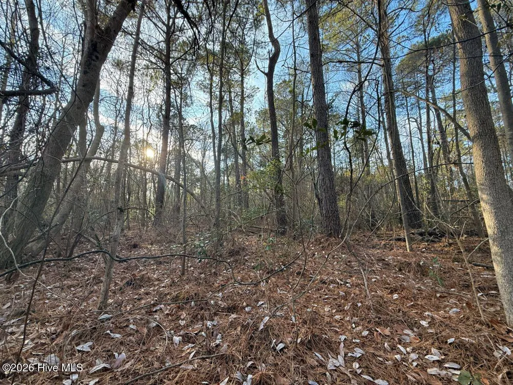 0 Carolina 410 Bladenboro, NC 28320