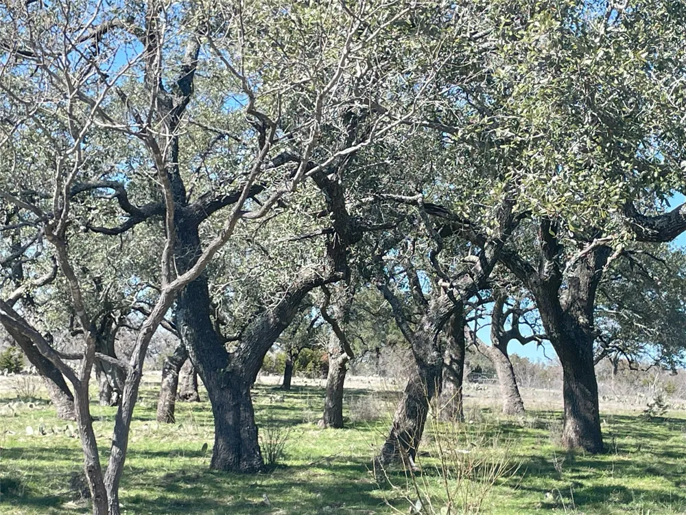 Address Not Shown San Saba, TX 76877