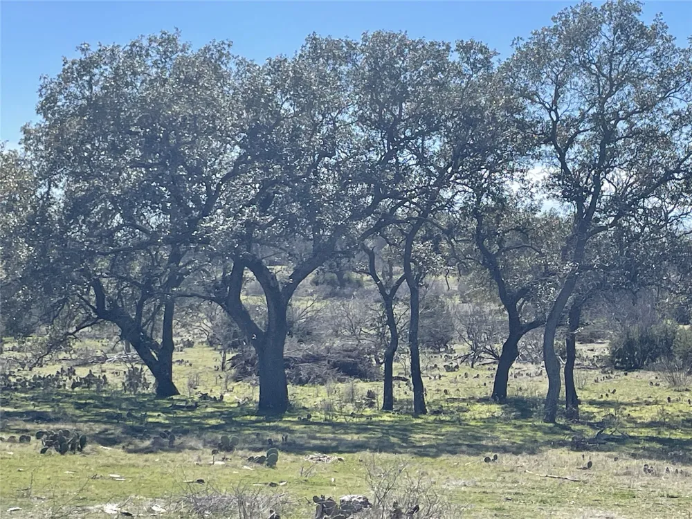 Address Not Shown San Saba, TX 76877