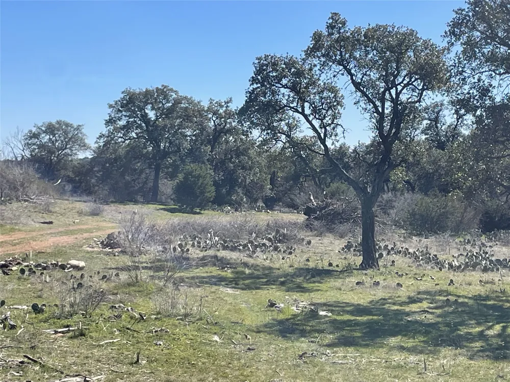 Address Not Shown San Saba, TX 76877