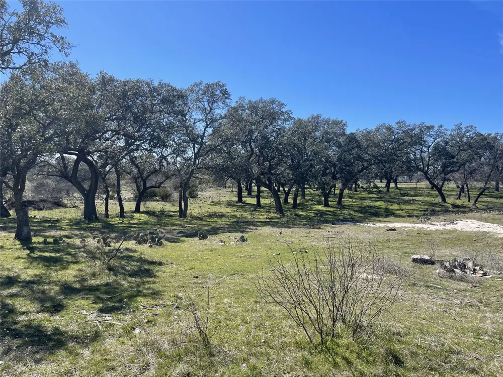 Address Not Shown San Saba, TX 76877