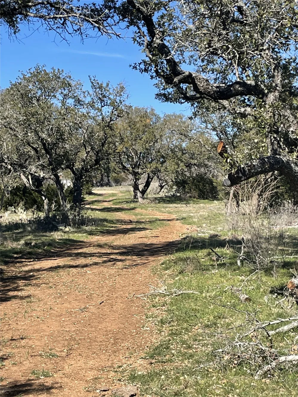 Address Not Shown San Saba, TX 76877