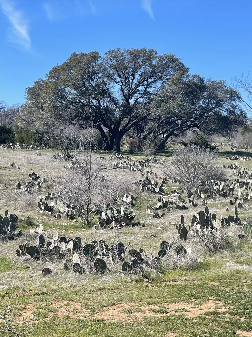 Address Not Shown San Saba, TX 76877